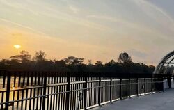 Blk 315B Waterway Cascadia (Punggol), HDB 4 Rooms #521875831